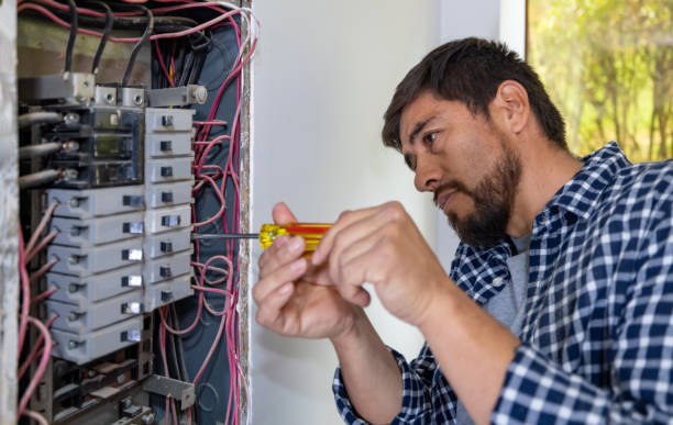 Best Local Electrician Companies  in Richton Park, IL